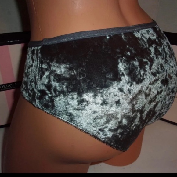 Victoria’s Secret shiny Velvety Hiphuggers bikini Panty M - Picture 2 of 3